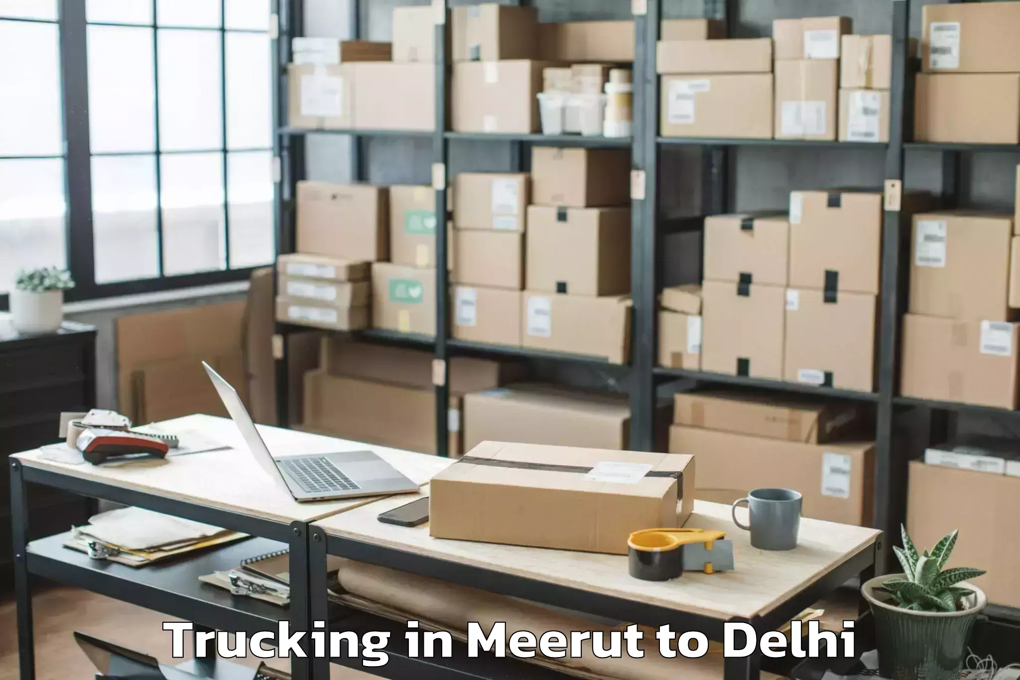 Leading Meerut to Badarpur Trucking Provider